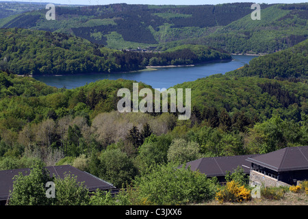 Blick von Burg Vogelsang auf den Urftstausee und Kermeter, NORDRHEIN-WESTFALEN, RENANIA DEL NORD-VESTFALIA, Deutschland, Germania Foto Stock