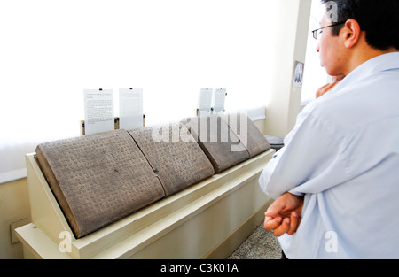 Il Museo Archeologico Nazionale di Teheran, Iran Foto Stock