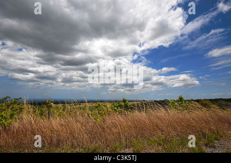 Bella vista della montagna con erba alta e luminoso cielo blu con nuvole puffy fatto una immagine HDR Foto Stock