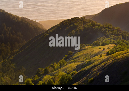 Aspre colline ripide sopra l'oceano, Ventana deserto, Los Padres National Forest, Big Sur Costa, California Foto Stock