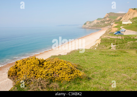 Spiaggia Eype Dorset England Regno Unito Foto Stock