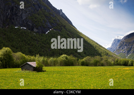 Capanno sul prato di montagna Foto Stock