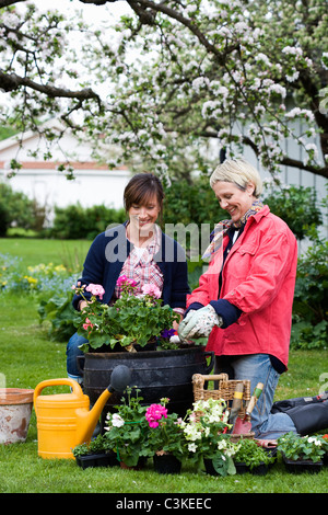 Due donne fiori di impostazione in vasi, Svezia. Foto Stock