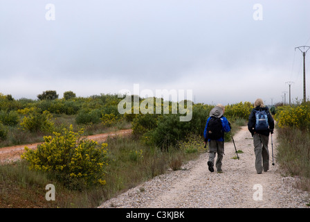 Walkers sul percorso del pellegrinaggio, Camino de Santiago, Spagna settentrionale Foto Stock