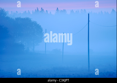 Fila di pali dell'elettricità sul campo nella nebbia di mattina Foto Stock