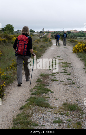 Walkers sul percorso del pellegrinaggio, Camino de Santiago, Spagna settentrionale Foto Stock