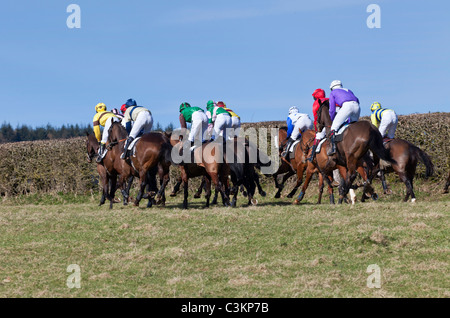 Cavalli e fantini AL PUNTO A PUNTO IN HOWICK CHEPSTOW Wales UK Foto Stock