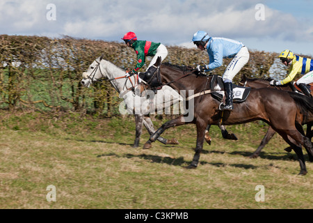 Cavalli e fantini AL PUNTO A PUNTO IN HOWICK CHEPSTOW Wales UK Foto Stock