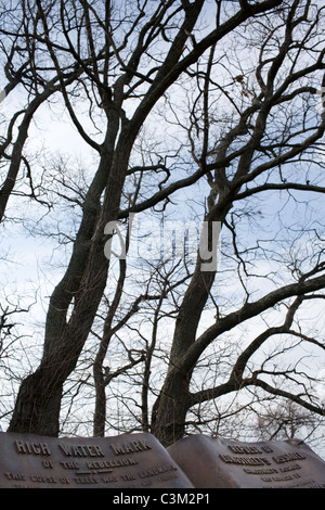 Ceduo di alberi e di alta marea della Confederazione, più lontano la penetrazione del nord di Pickett's carica, Gettysburg, Pennsylvania Foto Stock