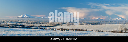 In inverno gli ovini e i campi innevati sotto il Nephin Beg montagne, nella contea di Sligo, Irlanda. Foto Stock