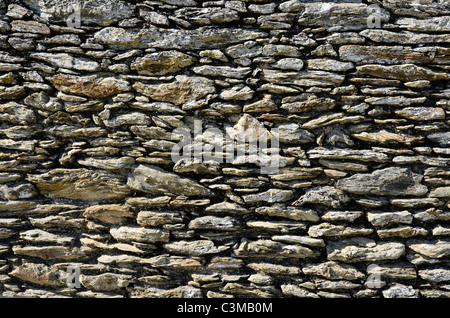 Sullo sfondo di un muro fatto di irregolari pietre grigie Foto Stock