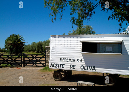 Fornitore stradale la vendita di olio di oliva vicino a Tres Aroyos, Argentina. Foto Stock