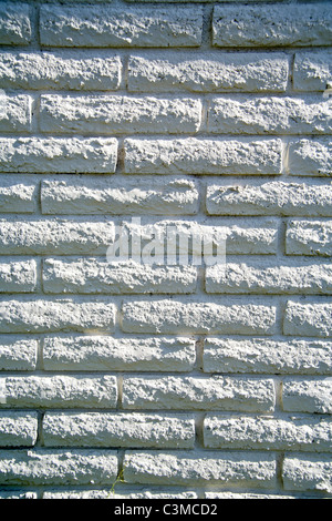 Obliqua di mattina il sole illumina la consistenza di un dipinto di bianco di un muro di mattoni. Foto Stock