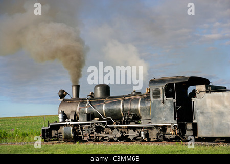 Vintage locomotiva a vapore con billowing di fumo e vapore Foto Stock