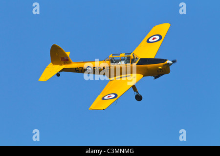 Un De Havilland Canada DHC1 Scoiattolo striado velivolo formazione della RCAF - Royal Canadian Air Force Foto Stock