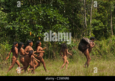 Huaorani indiani, Menewa svanire, portando a casa un bianco-Pecari a labbro che egli cacciati con la sua lancia Foto Stock