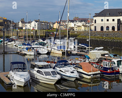 Barche ormeggiate a Aberystwyth Marina Ceredigion Cardiganshire Galles Regno Unito GB Gran Bretagna Foto Stock
