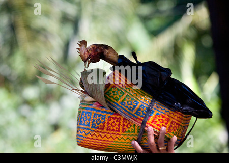 Indonesia, isola di Bali, Alassari, tempio del mare chiamato Pura Ponjok Batu. Festival di onorare le divinità del mare. Pollo, offerte. Foto Stock