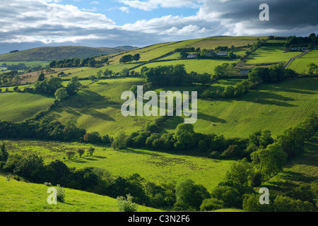 Campi estivi in Valle Glenelly, montagne Sperrin, County Tyrone, Irlanda del Nord.