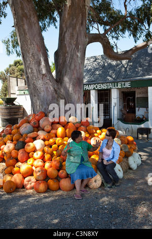 Sud Africa, Western Cape, Worcester. Zucche in vendita presso il negozio del paese. Foto Stock