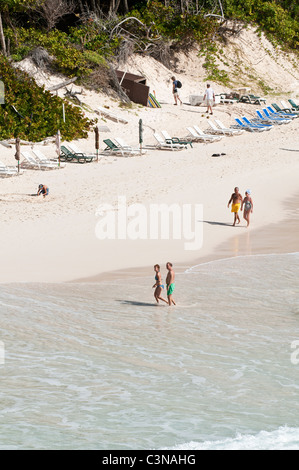 Spiaggia di gru a carroponte Beach Resort Barbados, dei Caraibi. Foto Stock