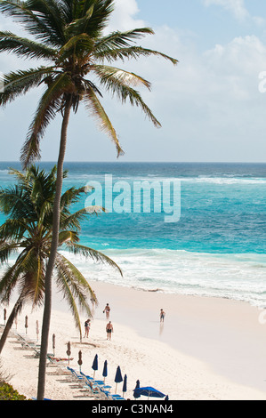 Spiaggia di gru a carroponte Beach Resort Barbados, dei Caraibi. Foto Stock