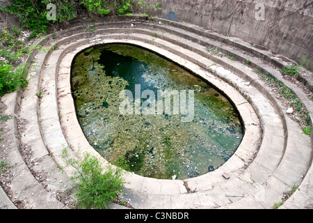 Eliza Springs, recinzione, Barton Springs e Austin Blind Salamander. Foto Stock