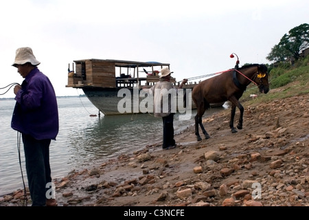 Gli uomini e i loro cavalli da lavoro sono essi stessi rinfrescante sulla riva del fiume Mekong in Kratie, Cambogia. Foto Stock