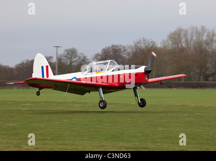 De Havilland (Canada) DHC-1 Scoiattolo striado T10 WG316 G-BCAH in atterraggio a Breighton Airfield Foto Stock