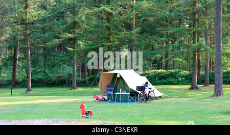 Piccola piramide di cotone tenda sul verde campeggio in bella forrest Foto Stock