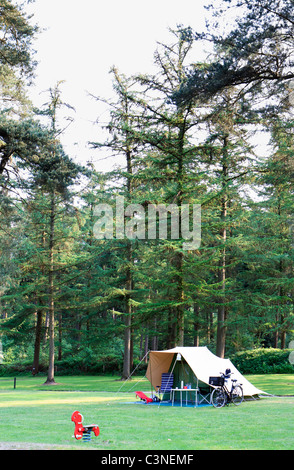 Piccola piramide di cotone tenda sul verde campeggio in bella forrest Foto Stock