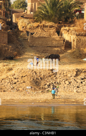 Africa Medio Oriente Egitto vita Egiziana lungo il fiume Nilo - un villaggio con il gioco della palla Foto Stock