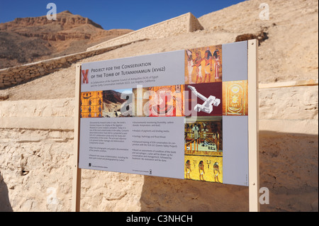 Africa Medio Oriente egiziano Egitto la Valle dei Re - Luxor- firmare all'entrata di Re Tut Tutankhamun Foto Stock