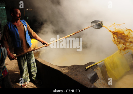 Africa Medio Oriente Egitto melassa rendendo utilizzando schiacciato canna da zucchero Foto Stock