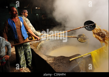 Africa Medio Oriente Egitto melassa rendendo utilizzando schiacciato canna da zucchero Foto Stock