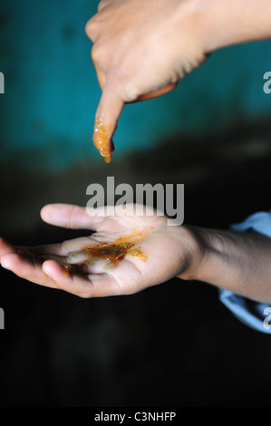 Africa Medio Oriente Egitto melassa rendendo utilizzando schiacciato canna da zucchero - uomo gocciolamenti finito di melassa nelle sue mani Foto Stock