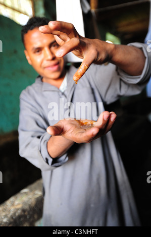 Africa Medio Oriente Egitto melassa rendendo utilizzando schiacciato canna da zucchero - uomo gocciolamenti finito di melassa nelle sue mani Foto Stock