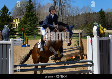 Ragazza adolescente prendendo il largo sul suo cavallo purosangue oltre un salto ad un outdoor spettacolo equestre concorrenza ontario Foto Stock