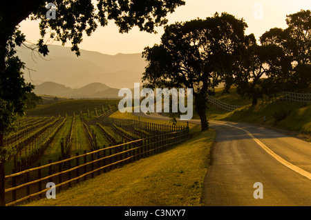 Vigneto e il paese di strada nella Santa Ynez Valley, Santa Barbara County, California Foto Stock