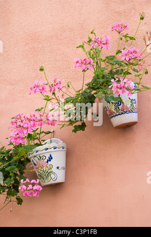 Vasi di fiori sul muro di una casa nel centro storico di Antwerp. Grote Goddaard Belgio Foto Stock