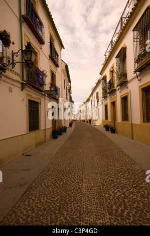 Stradina ALLINEATA CON PLANTPOTS A CORDOBA Andalusia Spagna Foto Stock