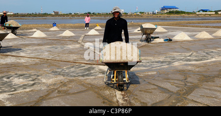 I campi di sale di Samut Sakhon, operai la raccolta del sale, Samut Sakhon , della Thailandia Foto Stock