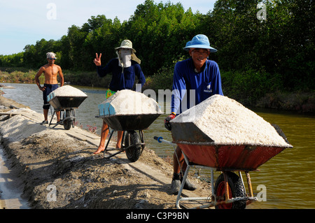 I campi di sale di Samut Sakhon, operai la raccolta del sale, Samut Sakhon , della Thailandia Foto Stock