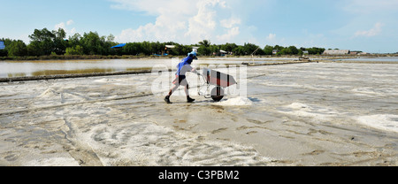 I campi di sale di Samut Sakhon, operai la raccolta del sale, Samut Sakhon , della Thailandia Foto Stock