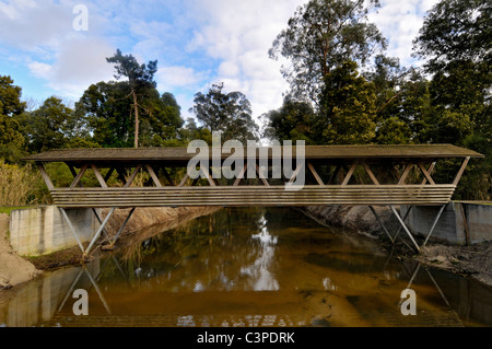 Ponte di legno in Mira, Portogallo Foto Stock