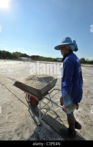 I campi di sale di Samut Sakhon, operai la raccolta del sale, Samut Sakhon , della Thailandia Foto Stock