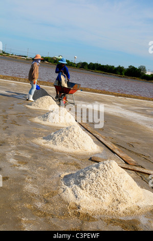 I campi di sale di Samut Sakhon, operai la raccolta del sale, Samut Sakhon , della Thailandia Foto Stock