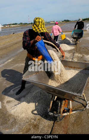 I campi di sale di Samut Sakhon, operai la raccolta del sale, Samut Sakhon , della Thailandia Foto Stock