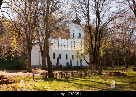 Vecchia chiesa nel villaggio Brankovina, Serbia Foto Stock