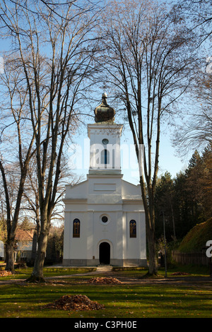 Vecchia chiesa nel villaggio Brankovina, Serbia Foto Stock